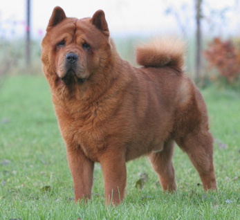 Hidde 2jr