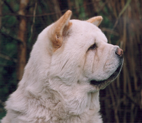 kuuki2
